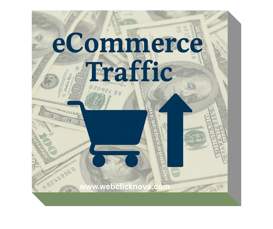 BRONZE E-Commerce Traffic (1,000 Visitors)